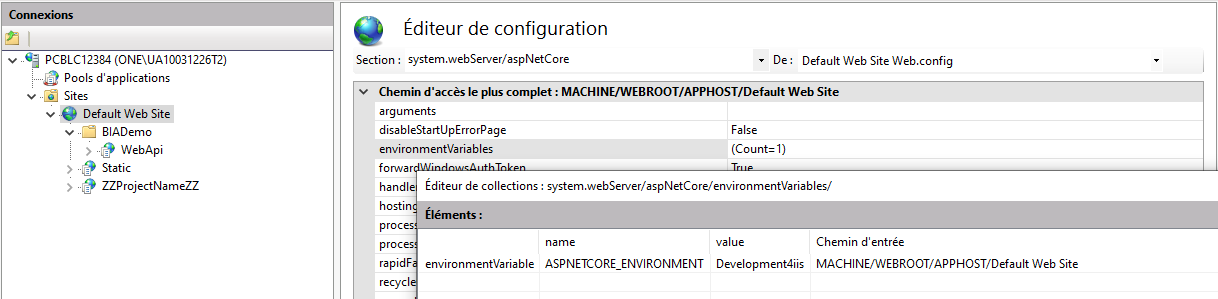 IIS variable