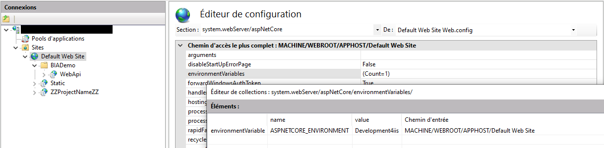 IIS variable