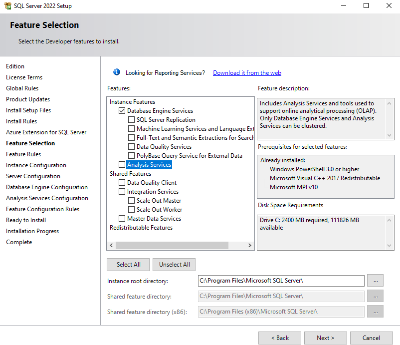 SQL Server Developer Instance Features